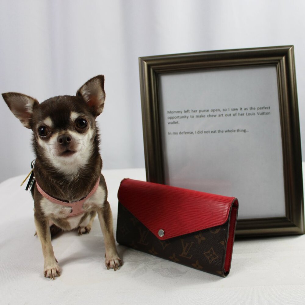 Louis Vuitton Pigment Marie-Lou Monogram & Red Long Wallet - Picture 6 of 9